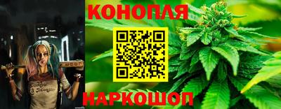 мяу мяу мука Нальчик