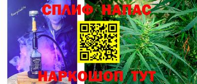 мяу мяу мука Нальчик
