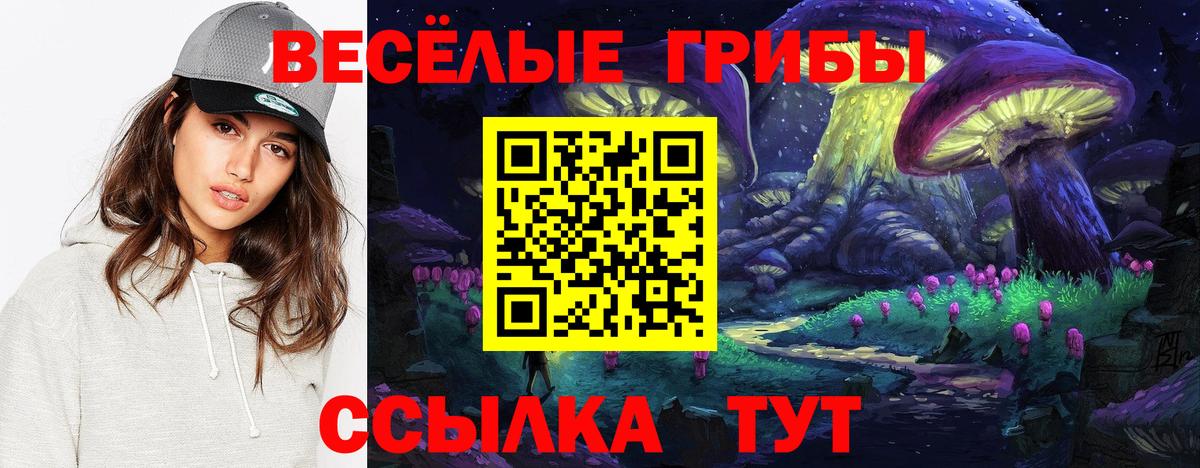 Псилоцибиновые грибы прущие грибы Советская Гавань